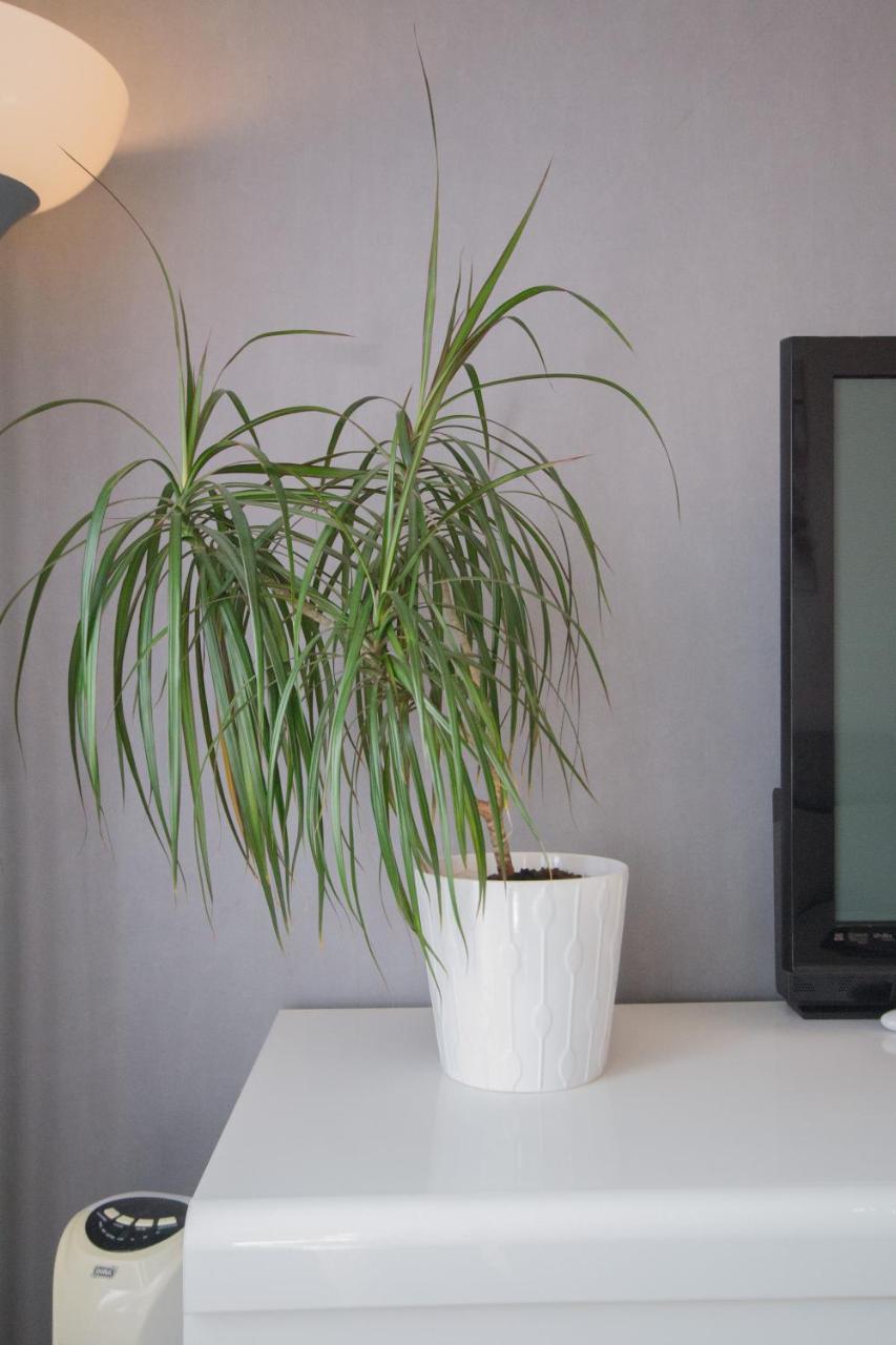 Spot'In - Dijon Milsand Apartment Bagian luar foto